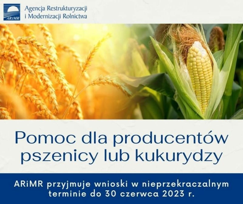 Pomoc finansowa dla producentów pszenicy lub kukurydzy, którzy ponieśli straty spowodowane agresją Federacji Rosyjskiej na...