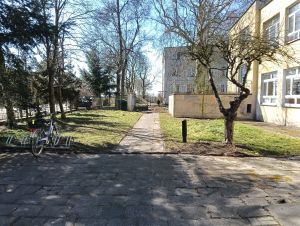 img20250319114839