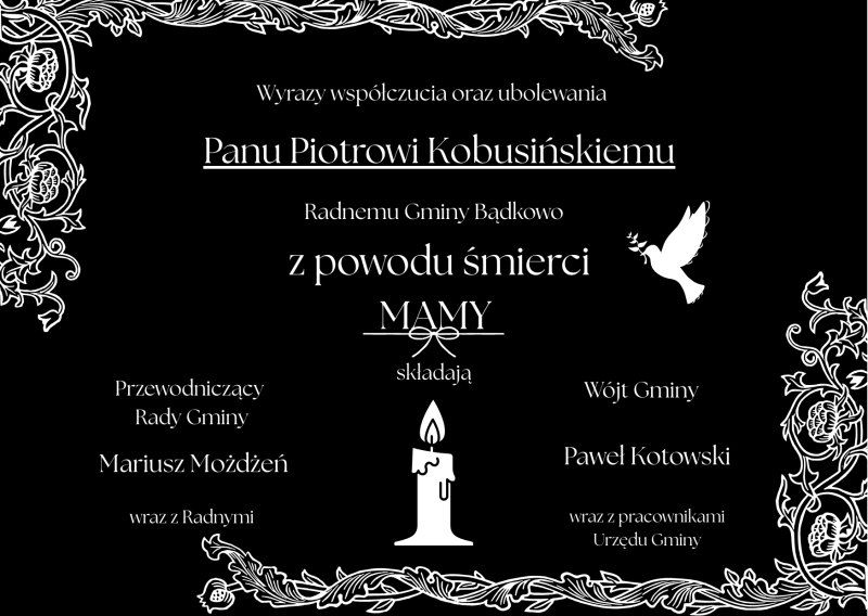 Tekst akapitu (3)