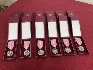 589085136_122210603402366467_1258498456253273839_n