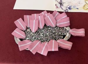 588573698_122210606318366467_7853616553219886795_n