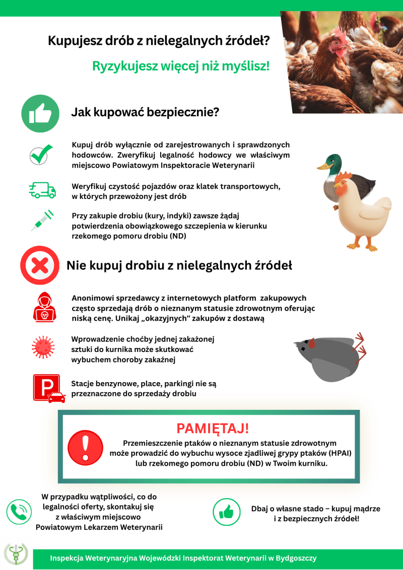 Ulotka_informacyjna_dot-_handlu_drobiem