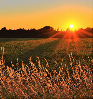 XVII edycja konkursu „Polska wieś – dziedzictwo i przyszłość"
