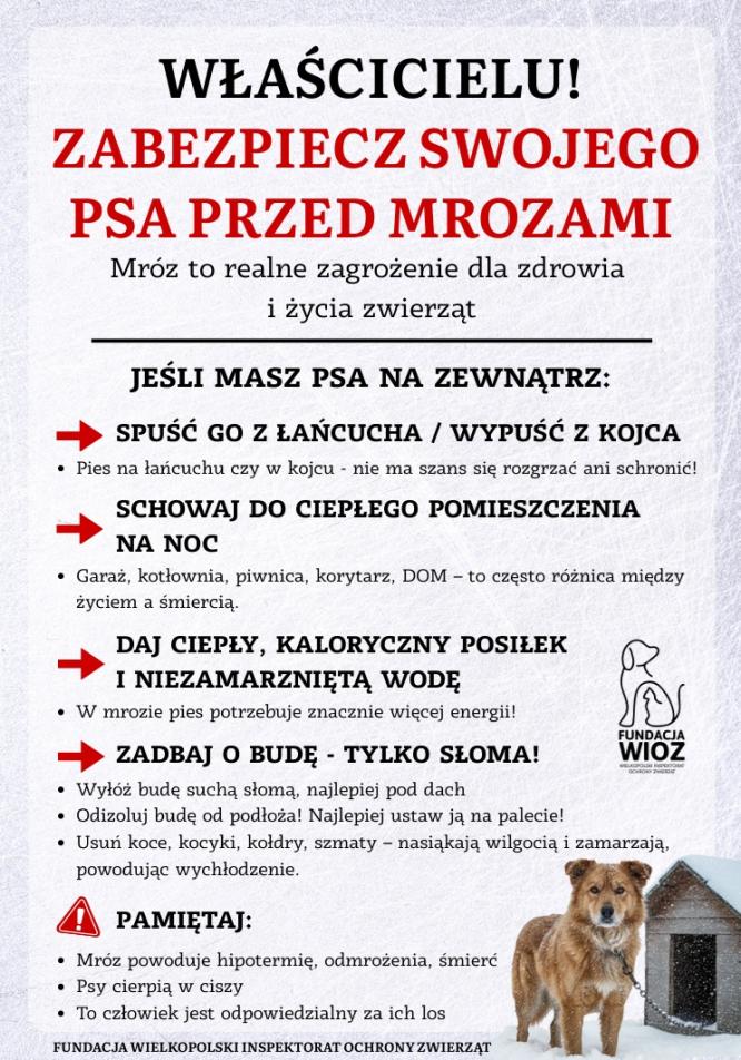 Apel w związku z silnymi mrozami: zabezpieczmy zwierzęta przebywające na zewnątrz